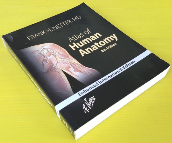 Atlas Of Human Anatomy By FRANK H NETTER MD