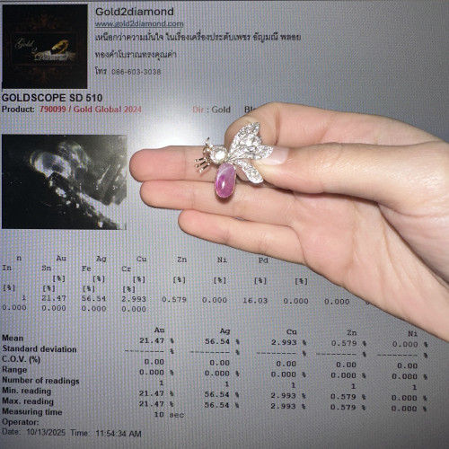 เข็มกลัด ผึ้ง ทับทิม พม่า กิมบ่อเซี่ยง ฝังเพชร 49 เม็ด 0.60 กะรัต ทอง14K + งานทองขาวโบราณ (ปาหะ) นน. 5