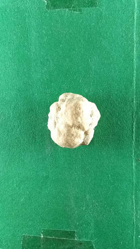 พระธาตุสีวลี สวยมาก 200