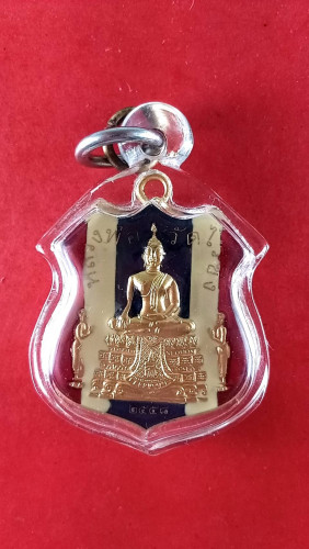 เหรียญโล่ห์ลงยาลพ.วัดไร่ขิงปี58เลี่ยมเดิม