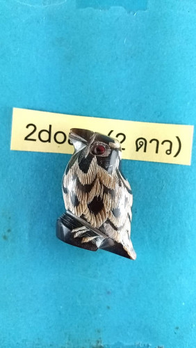 นกสาริกาเขาควายเพ้นท์สีมีจารรุ่น1สวยมาก