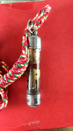 ตะกรุดสาริกายาว2นิ้วจารมือเถาวัลย์กาหลงสายสิญจ์ปิดทองน้ำมันงาเสกมีโค๊ตว.ย.ง.พร้อมใช้ 