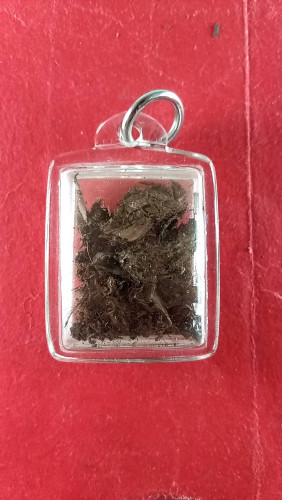 ชานหมากลพ.สงฆ์ วัดเจ้าฟ้าศาลาลอย จ.ชุมพร