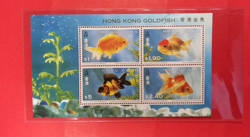 ชุดปลากัดไม่ผ่านการใช้2ชุด 