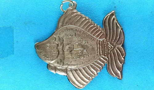 ปลาตะเพียนทองสองหน้าตัวใหญ่ให้โชคลาภฯ 