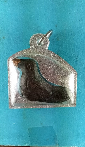 นกสาลิกาเนื้อว่านมีโค๊ตเลึ่ยมเดิม