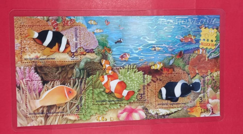 ชุดปลาสวยงามไม่ผ่านการใช้