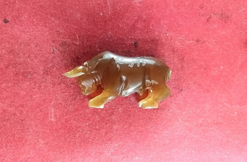 วัวธนูเขาควายเผือกมีจาร