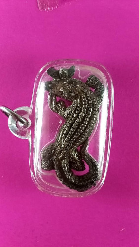 จระเข้จักรพรรดิ์นวะรุ่น1เบอร์506 สวยมาก