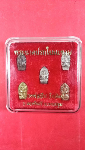 พระปรกมะขามชุดกรรมการ