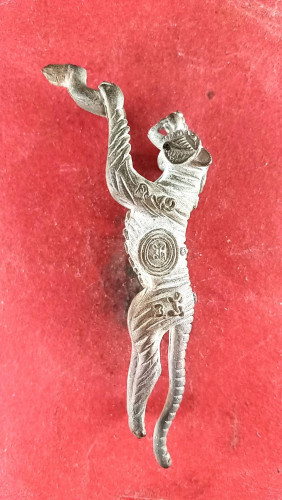 รูปหล่อเสือตัวใหญ่เนื้อสัตตะโลหะมีประสบการณ์( รถชนเสาไฟฟ้าขาดสองท่อนปลอดภัย)