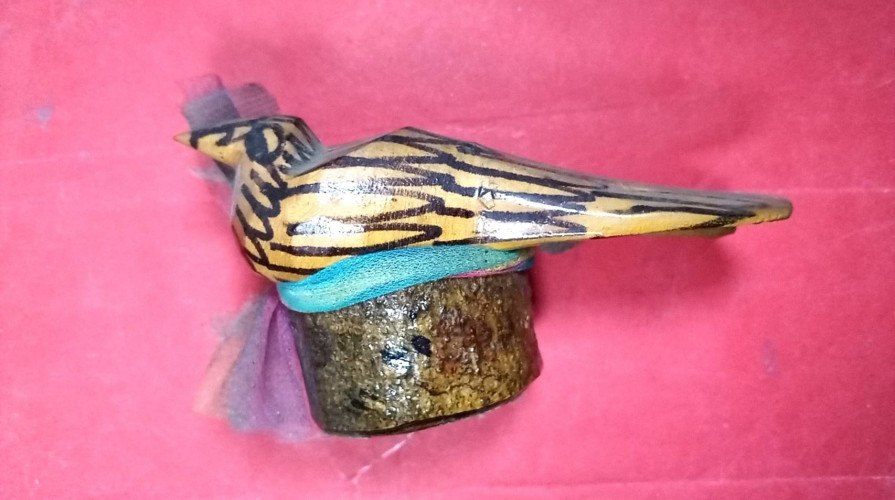 นกสาลิกาคู่ตัวใหญ่มีจาร 1