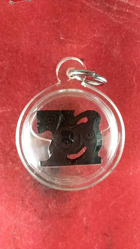  สิงห์ไมังิ้วดำเลี่ยมเดิม 