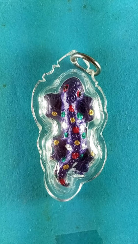 ตุ๊กแกเพ้นท์สีดิน7ป่าช้ามีจารตัวละ800.