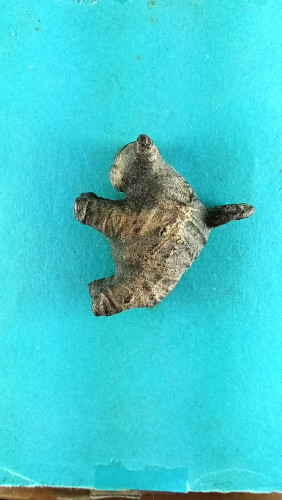 วัวธนูลพ.คง วัดบ้านสวนเนื้อครั่งพุทรามีถักชุบลัก