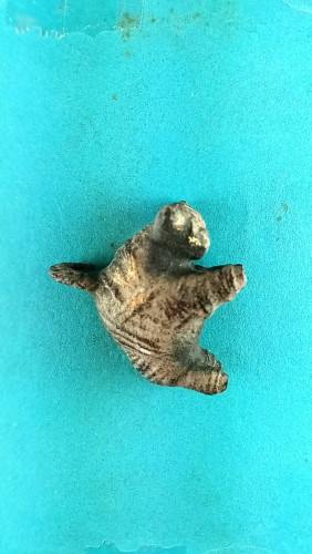 วัวธนูลพ.คง วัดบ้านสวนเนื้อครั่งพุทรามีถักชุบลัก 1