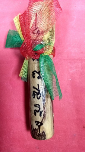 ปลัดขลิกไม้เขยตายตัวใหญ่