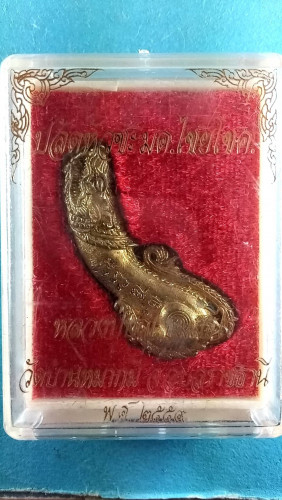  ปลัดขลิกหัวชะมดปี59