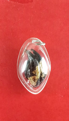 เล็บครุฑเครื่องรางกันภัยกันคุณไสยให้โชคลาภมีจาร