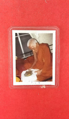 รูปถ่ายขนาดห้อยคอหลังตรายาง