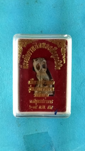 รูปหล่อเสือตาแดงเหลียวหลังแร่เกาะล้าน วัดท้องคุ้ง ปี59 จ.สมุทรปราการ