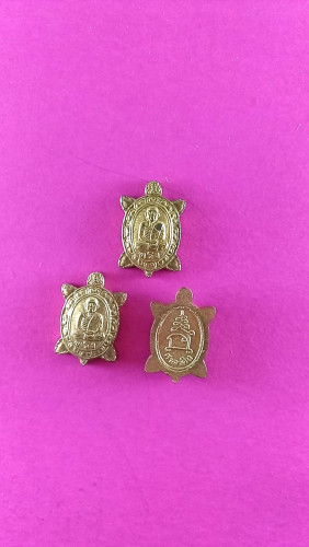 เต่าจิ๋วเนื้อฝาบาตรปี49 ตัวละ500.