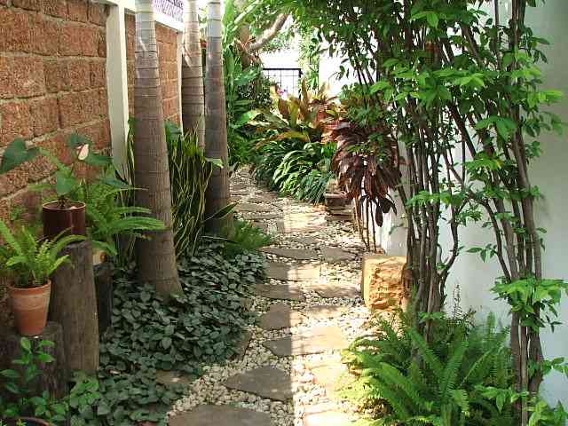 (บ้านเช่าไปแล้ว) บ้านเช่าศรีนครินทร์ / Home Office ให้เช่า บ้านกลางเมืองใกล้สี่แยกอ่อนนุช บ้านสวยมีเ 20