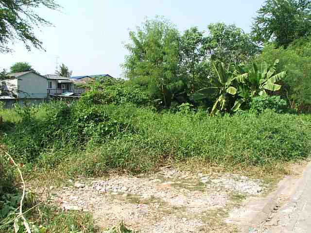 (ให้เช่าแล้ว) ประชาชื่น / LAND FOR RENT 1800 ตรม. ติดถนนซอยประชาชื่น37 ให้เช่าที่ดินถูกมากๆ 10,000 บ 1