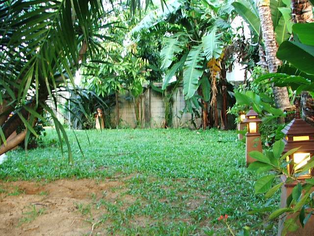 (บ้านไปแล้ว) บ้านเช่าบางนา / ให้เช่า! บ้านสวยพร้อมสระว่ายน้ำ ใกล้ศูนย์ไบเทค สี่แยกบางนา เฟอร์ครบ สวน 7