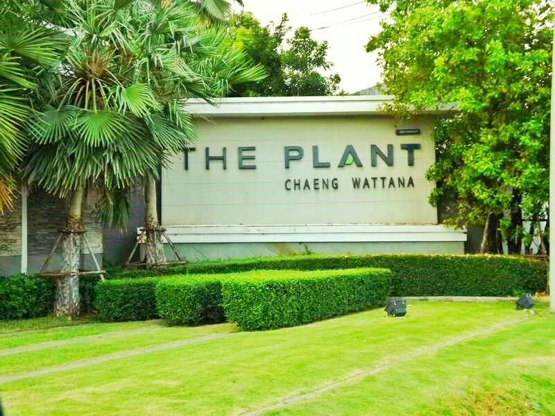 (บ้านเช่าไปแล้ว) บ้านเช่าแจ้งวัฒนะ / บ้านเดี่ยวให้เช่า ถูกสุดในทำเล The Plant เมืองทองธานี 1