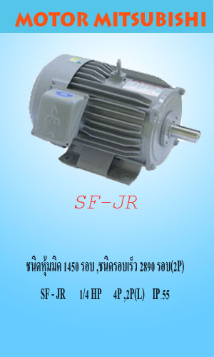 SF-JR 1/4 HP 4P,2P IP.55