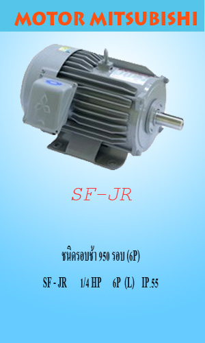 SF-JR 1/4 HP 6P(L)IP.55