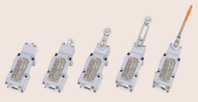 WAROM BZM Series Explosion-proof Illumination Switches