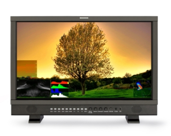 Swit BM-U243 23.8-inch 4K 12GSDI Studio LCD Monitor