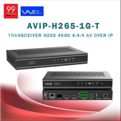 Vave -AVIP-H265-1G-T