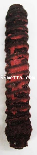 ตะกรุด7นางโลม อุดผงพราย59ตน ฤาษีมาเชีย สีลาดเลา