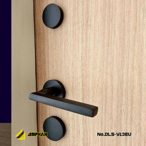 Digital Door Lock กลอนประตูอัจฉริยะ รุ่น DLS-Y13EU (Luxury Model) 1