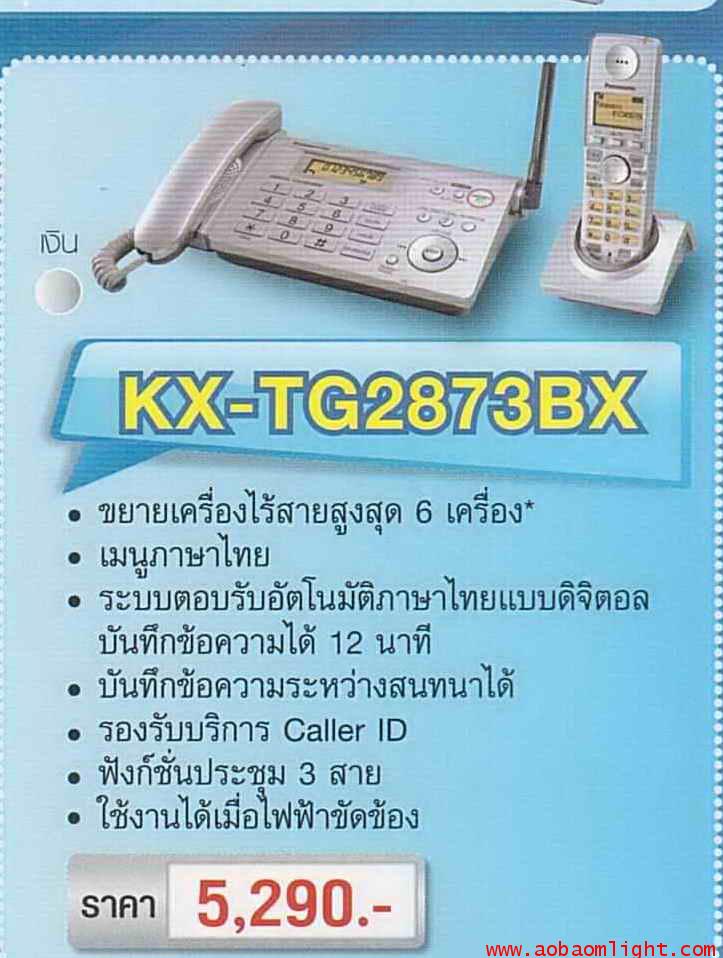 โทรศัพท์ไร้สาย พานาโซนิค KX-TG2873BX สีเงิน