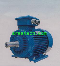 มอเตอร์ไฟฟ้า ยี่ห้อ MULLER  ขนาด 100-430HP 6 POLE B3 รุ่น QY2B  SERIES 2