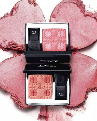 NEW Dior Rouge Blush 2026