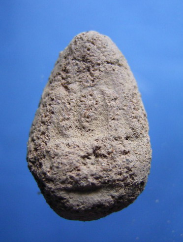 พระเม็ดน้อยหน่า หลวงพ่อหร่ำ วัดกร่าง (ขายแล้ว)