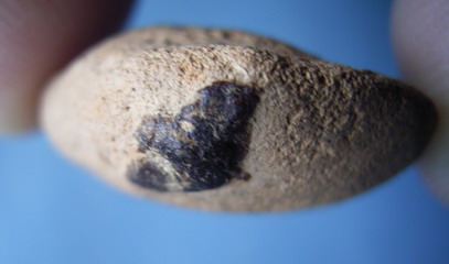 พระขุนแผนใบพุทรา หลวงพ่อหร่ำ วัดกร่าง 2