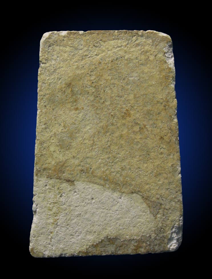 พระสมเด็จวัดบางขุนพรหม ปี 02 ลป.ลำภู พิมพ์ปรกโพธิ์ (New) 1