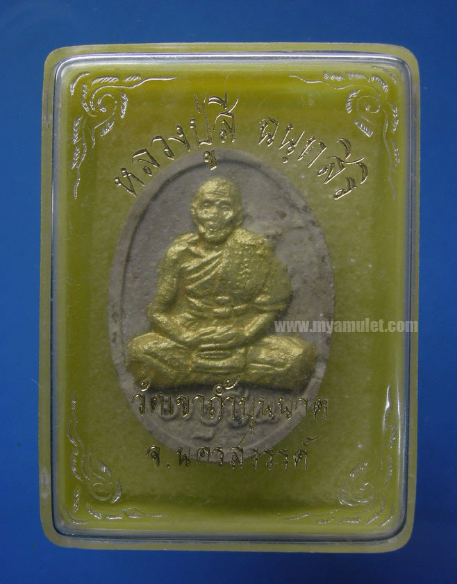 พระรูปเหมือนหลวงปู่สี วัดเขาถ้ำบุญนาค ปี 17 (New) 2