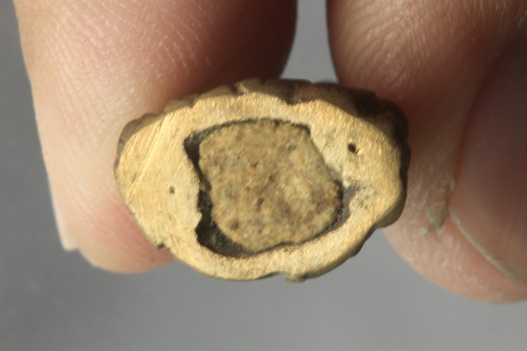 พระอุปคุต หล่อดินไทย อุดผงและเกศา หลวงปู่ไม อินทสิริ วัดป่าหนองช้างคาว 2