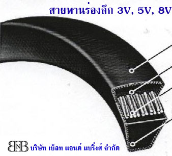 สานพานร่องลึก (3V, 5V, 8V) Power ACE /Narrow V-Belt