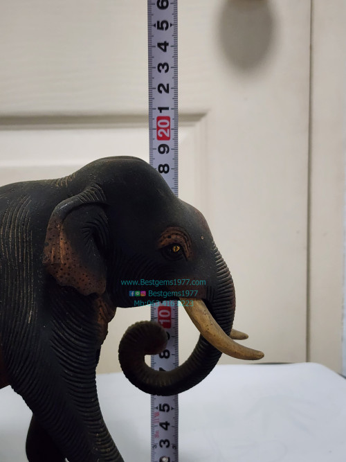 ช้างไม้แกะสลัก (ใหญ่) 6