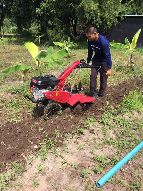 TAZAWA TAZ650 (Model TAZ650 นิยมใช้กันมากที่สุด) รถพรวนดิน สาดดิน ยกร่อง เครื่องยนต์เบนซิน 7HP 4