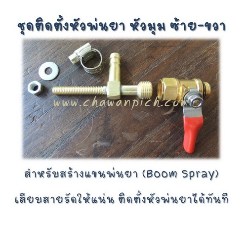My Image 41