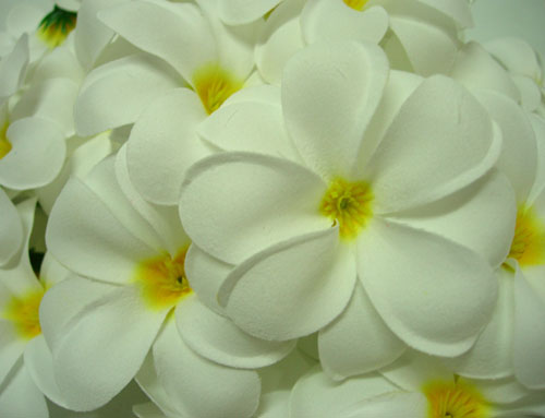 ดอกลีลาวดีประดิษฐ์สีขาว
